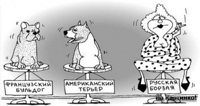 Эти забавные зверюшки. Карикатуры на советскую жизнь (40 фоток