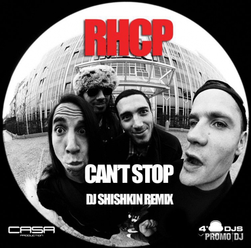 Red Hot Chili Peppers - Can't Stop (DJ Shishkin Remix).mp3