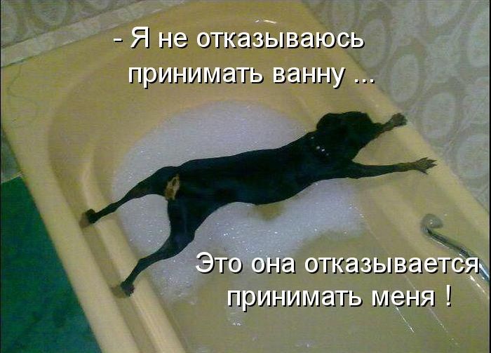 Лучшие котоматрицы недели
