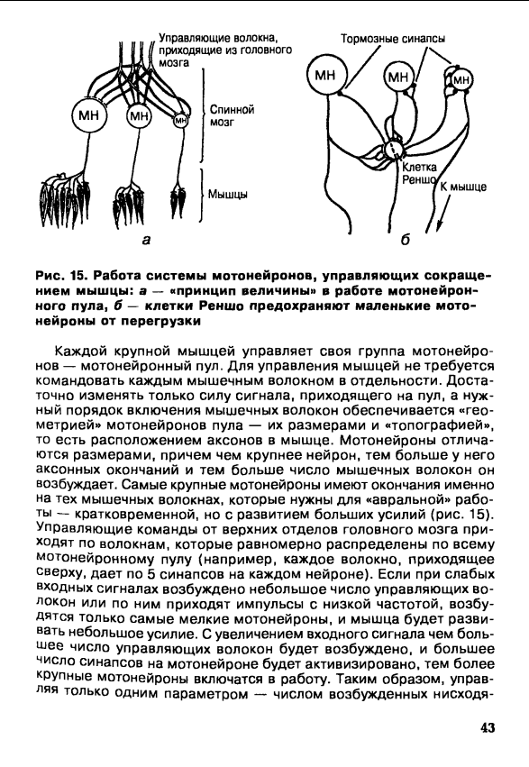 ebook Subpulmonic Ventricular Septal Defect: Proceedings of the Third Asian Congress of