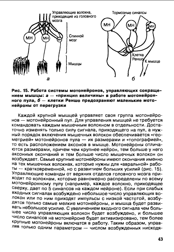 read histoire de lynx