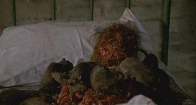 Фильм Ужасов Крысы belgips