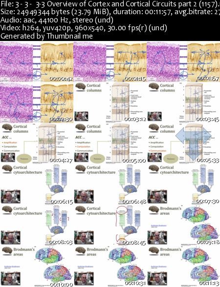 Coursera - Medical Neuroscience Coursera - Medical Neuroscience