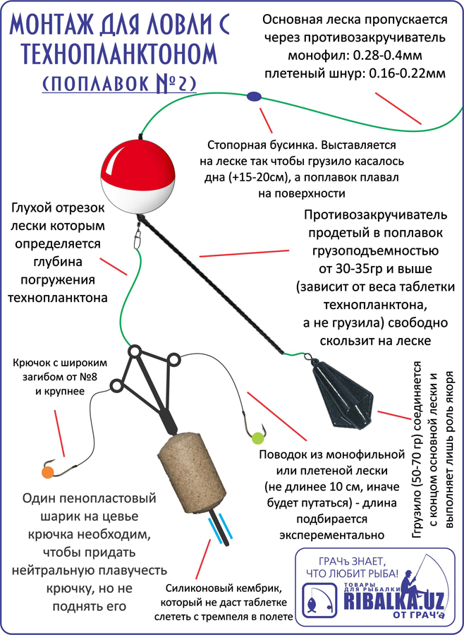 Технопланктон для толстолобика своими руками Технопланктон для толстолобика своими руками