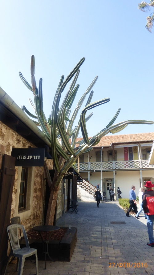 "Фантазия" в Средиземноморском круизе в феврале 2016 года