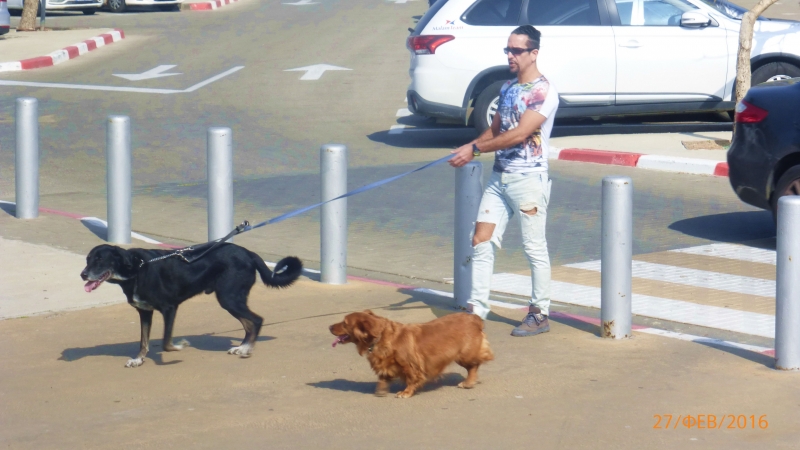 "Фантазия" в Средиземноморском круизе в феврале 2016 года