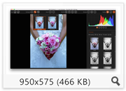 DxO FilmPack Elite 5.5.8 (2016) Multi DxO FilmPack Elite 5.5.8 (2016) Multi