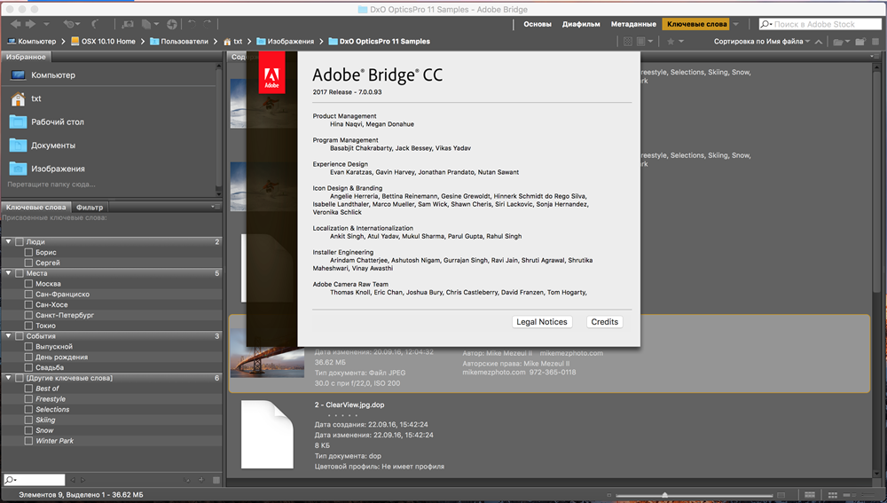 Adobe Bridge Cc 2015 Mac Download