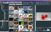 Ashampoo Photo Commander 15.0.2 RePack (& Portable) by KpoJIuK (x86-x64) (2016) Multi/Rus Ashampoo Photo Commander 15.0.2 RePack (& Portable) by KpoJIuK (x86-x64) (2016) Multi/Rus