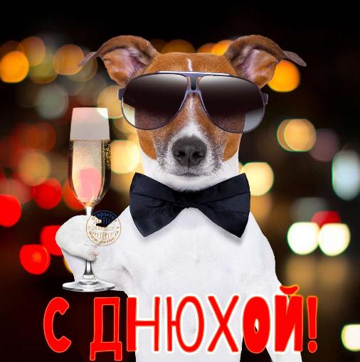 Открытки с днем рождения пацану прикольные 42