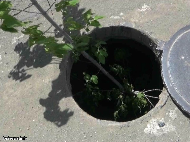 Image result for մաքսատուն պայուսակ