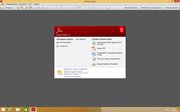 Adobe Reader XI 11.0.21 (x86-x64) (2017) Rus