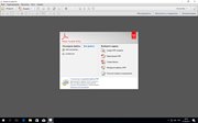 Adobe Acrobat XI Pro 11.0.21 (x86-x64) (2017) {Multi/Rus}