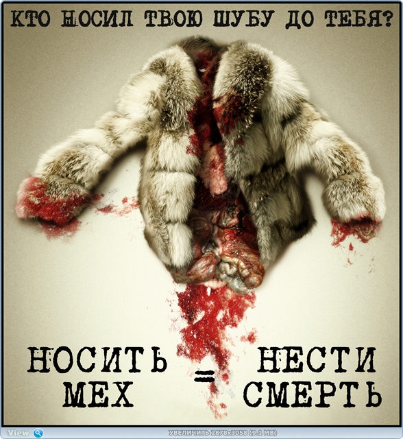 Без меха в России никак? | Этичные альтернативы 5f80e13251dd51a67bdedcc8e82c6b7b