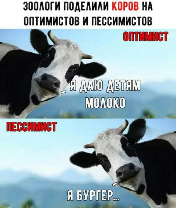Сборка № 284 Сборка № 284