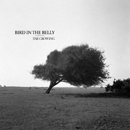 (Folk Rock) Bird In The Belly - The Crowing - 2018, MP3, 320 kbps