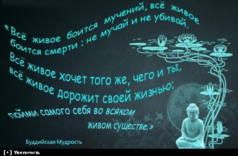 http://i2.imageban.ru/thumbs/2013.10.11/fb60429e6f7bc5169e552533e08b98f9.jpg