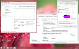 Windows 8.1 Pro 19024 SZ FAST by Lopatkin (x86-x64) (2018) Rus