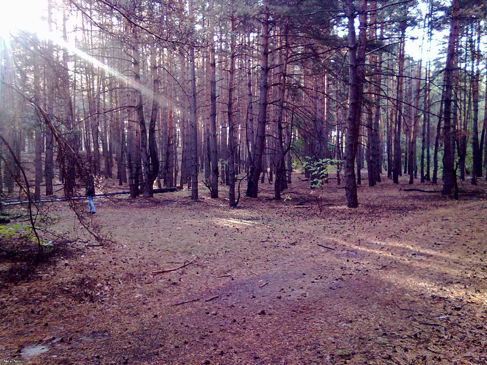 19092010076.jpg