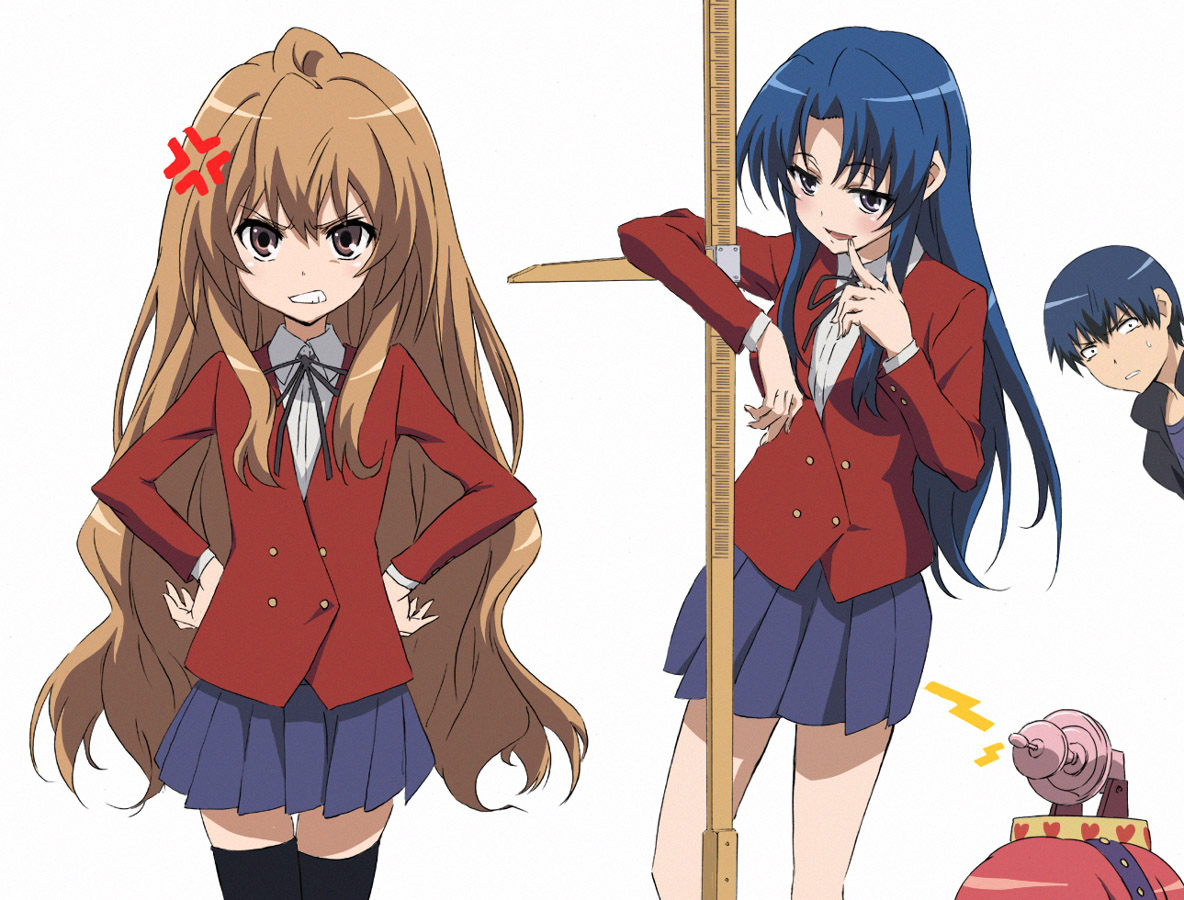 1278094988_konachan.com-44136-aisaka_taiga-kawashima_ami-takasu_ryuuji-toradora-white.jpg
