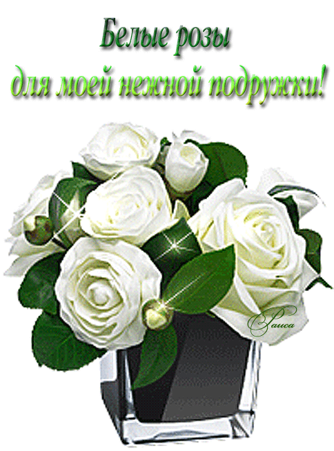 Бела роза
