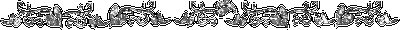 dividers_90.gif
