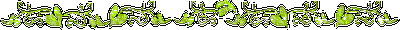 dividers_88.gif