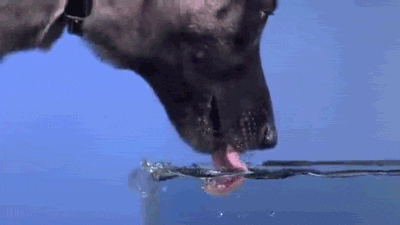 a999c33144647330ac0d850.gif
