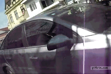 1304356438_cop-gets-on-the-hood-of-a-car.gif