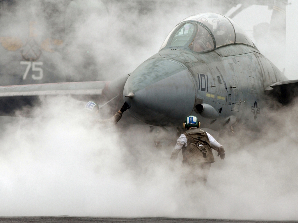 Tomcat_F14.jpg