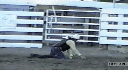 1305220448_bull-hits-man.gif