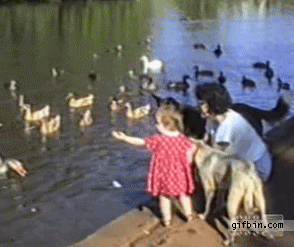 1305563015_girl-falls-in-water.gif