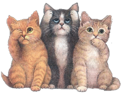 3cats.gif