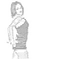 769751_b.gif