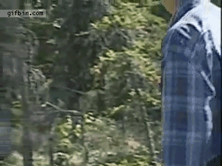 1306950064_man_keeps_cool_during_bear_charge.gif