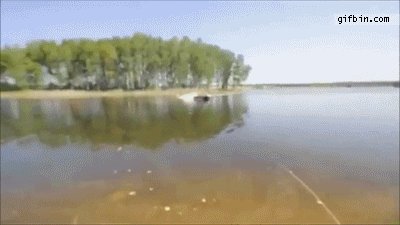1306950156_waterskiing_into_tent.gif