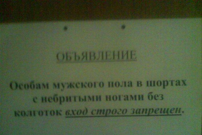 podborlF.jpg