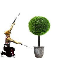 5.gif