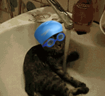Кот в ванной