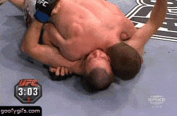 020.gif