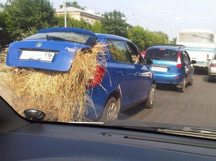 podbormJ.jpg