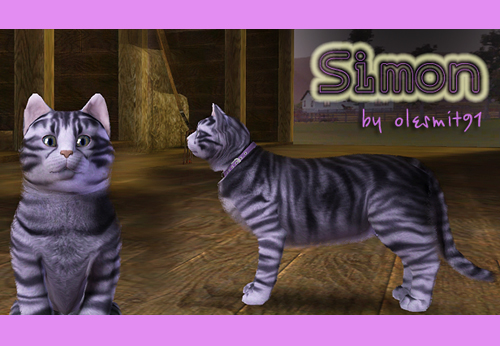 Simon1.jpg