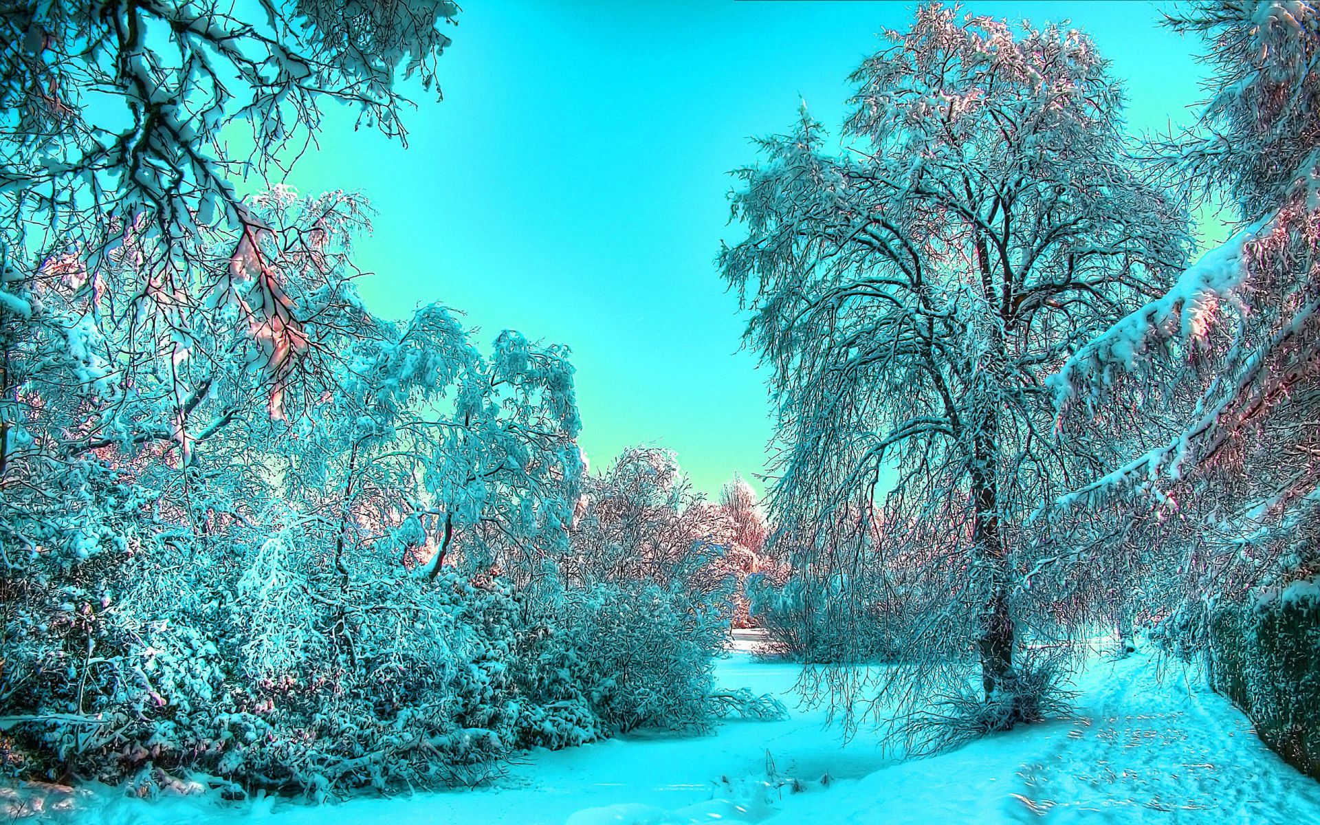 Зима красивая