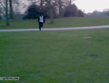 Best funny gif