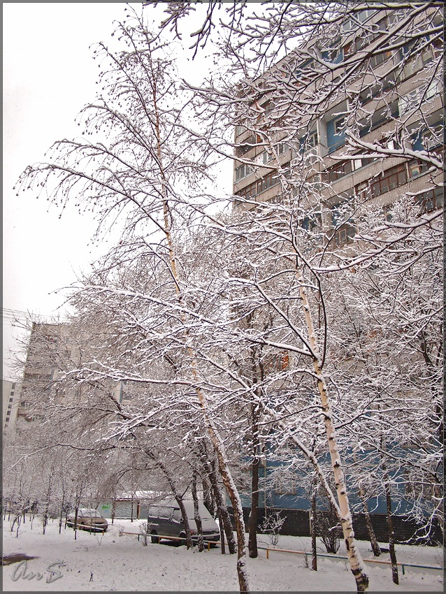 P1013160OV_tn2.jpg