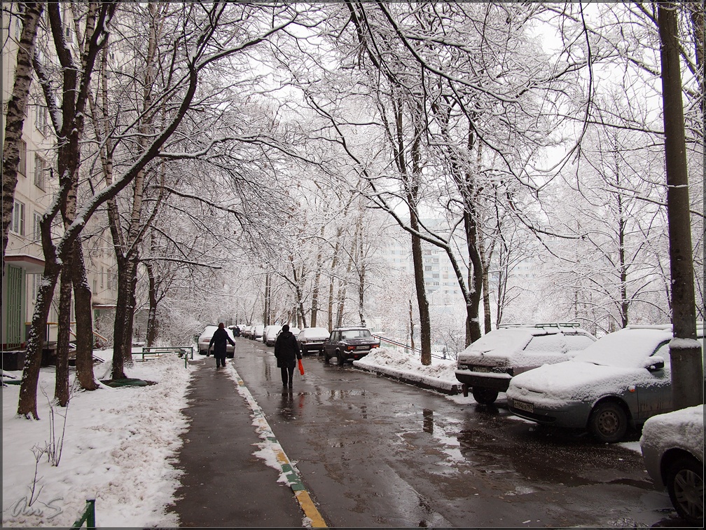 P1013199OV_tn2.jpg