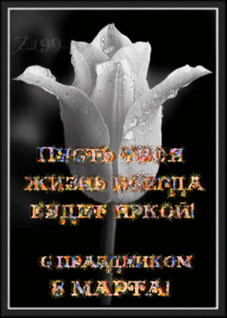 Белые тюльпаны