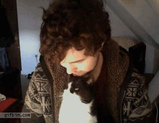 Котик