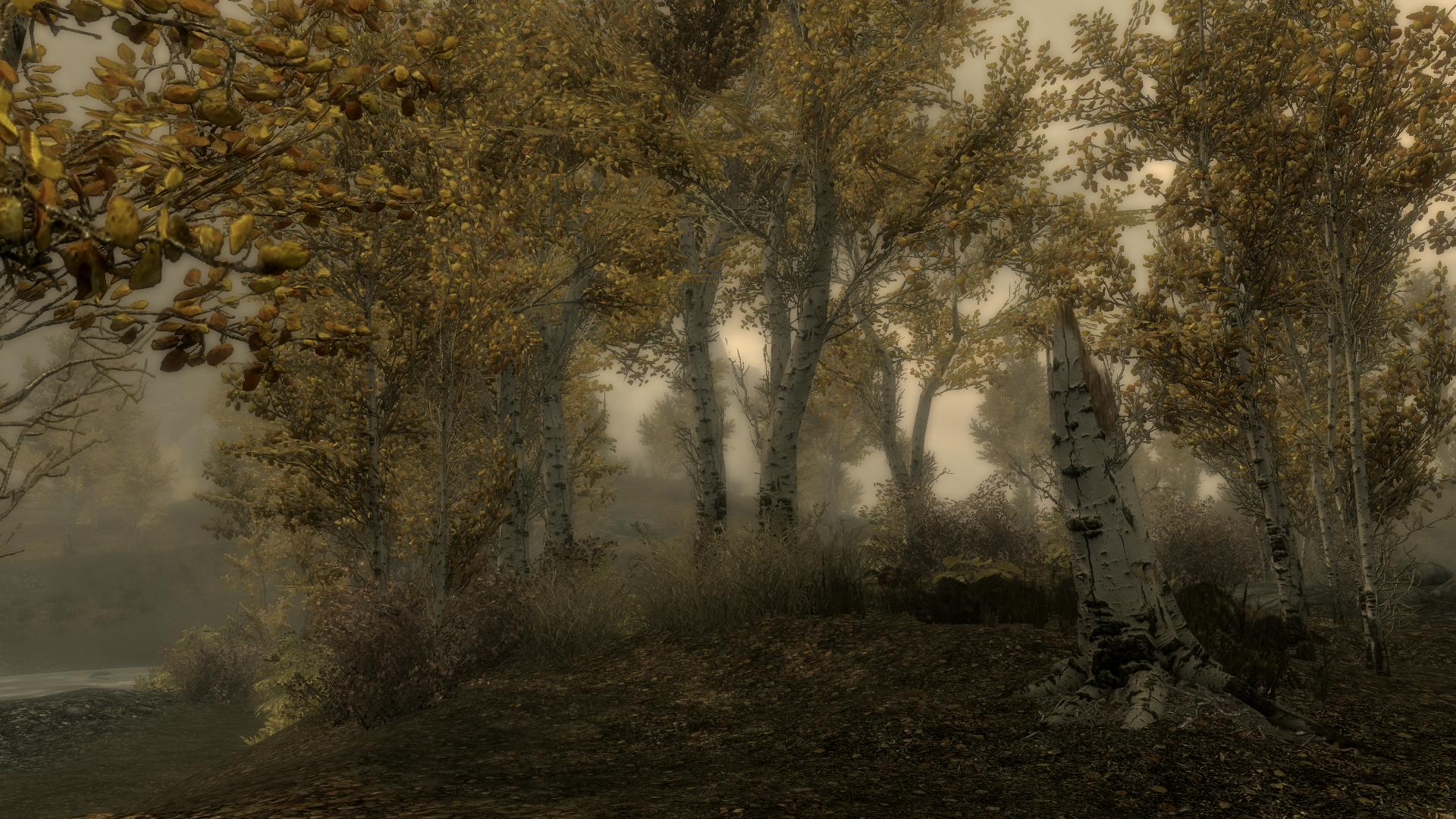 TESV 2012-04-23 01-51-12-49.jpg