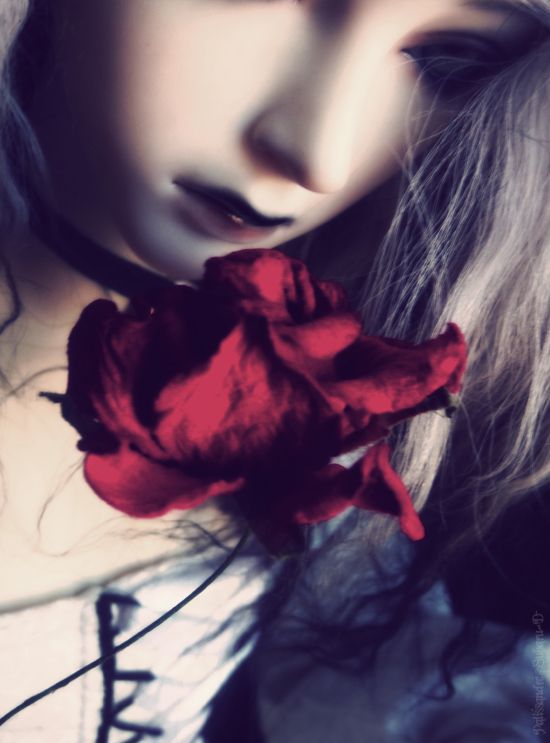 red_roses_suit_you_so_well_by_subarud-d3yriyy.jpg